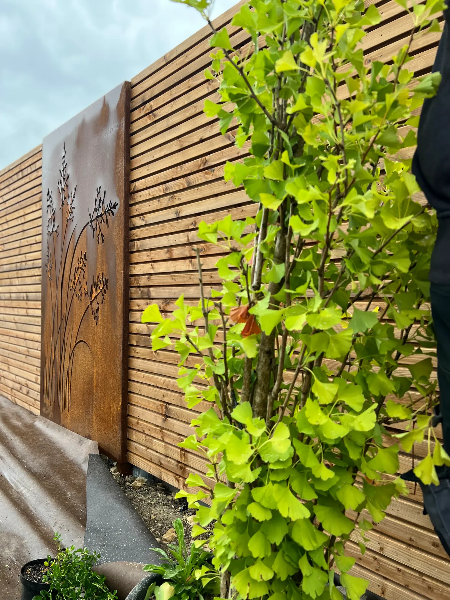 Clôture épicéa thermo & panneaux corten à Diebling
